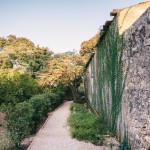 Giardino storico, vialetto di accesso