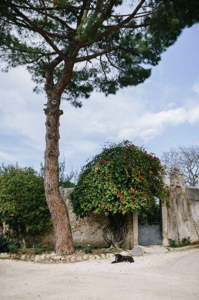 Castello del Solacium