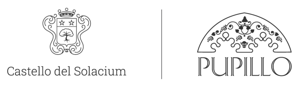 Castello del Solacium